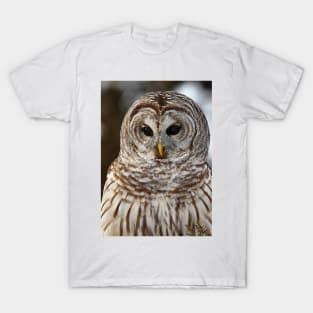 Barred Owl closeup T-Shirt